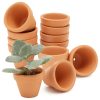 Gardening Tools & Accessories - Hayleys Quality Seeds